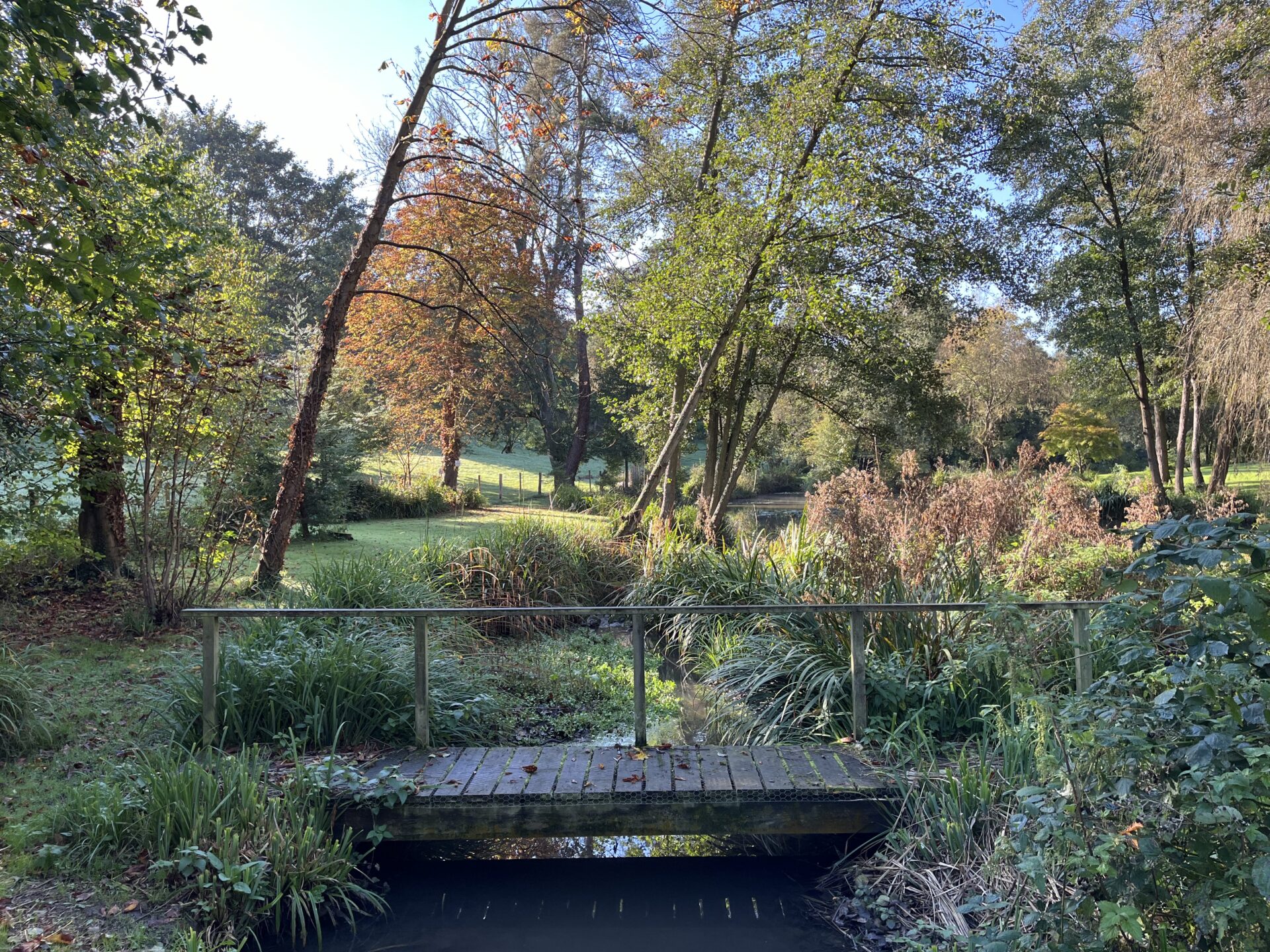 Bearsted Woodland Trust